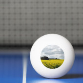 Golden Waves of Streatham 卓球ボール (ネット)