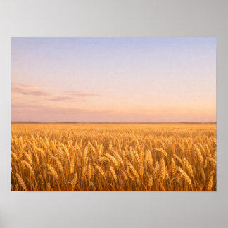 Golden Wheat Field at Pastel Sunset Landscape ポスター
