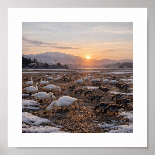 Golden Winter Field with Swans and Geese –  ポスター (正面)