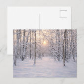 Golden_winter_light ポストカード (正面/裏面)