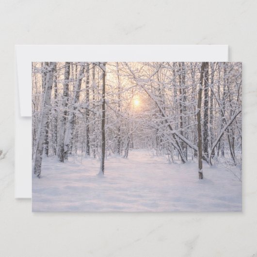 Golden_winter_light 招待状 (正面)