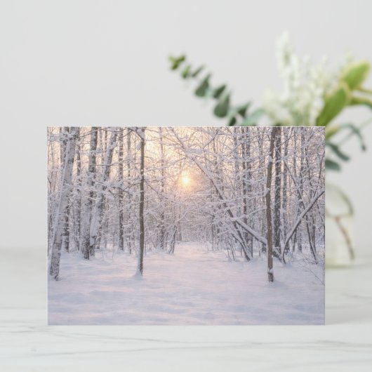 Golden_winter_light 招待状 (スタンド正面)