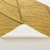 Golden yellow leaf pattern in the morning.  シェルパブランケット (3/4)