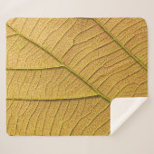 Golden yellow leaf pattern in the morning.  シェルパブランケット (正面(横))