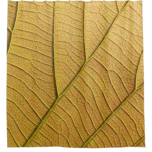 Golden yellow leaf pattern in the morning.  シャワーカーテン (正面)