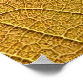 Golden yellow leaf pattern in the morning.  ポスター (角)