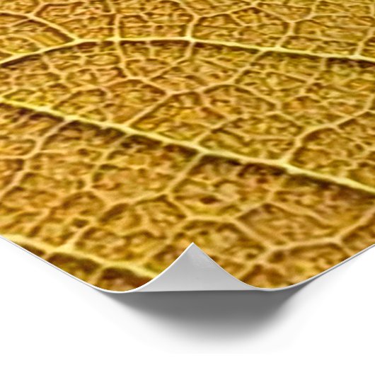 Golden yellow leaf pattern in the morning.  ポスター (角)