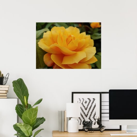 Golden Yellow Rose Blossom Flower Photo ポスター (ホームオフィス)