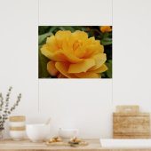 Golden Yellow Rose Blossom Flower Photo ポスター (キッチン)