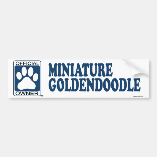 Goldendoodleのミニチュア青 バンパーステッカー (正面)