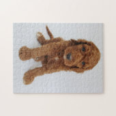 Goldendoodleの子犬のジグソーパズル ジグソーパズル (横)