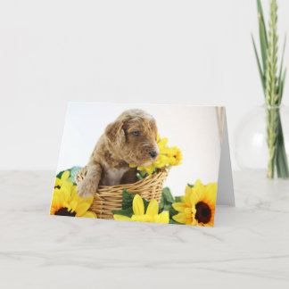 Goldendoodleの子犬の挨拶状 カード
