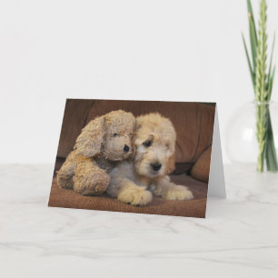 Goldendoodleの子犬の挨拶状 カード