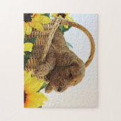 Goldendoodleの子犬11X14 (252 PC。) パズル (縦)