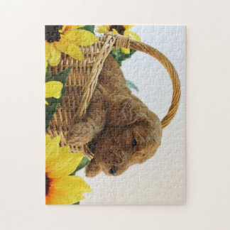 Goldendoodleの子犬11X14 (252 PC。) パズル