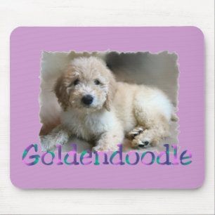 Goldendoodleの恋人のギフト マウスパッド
