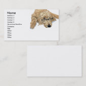 Goldendoodleステラの名刺 名刺 (正面/裏面)