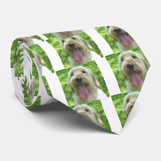 Goldendoodleプロダクト ネクタイ (ロール)