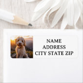 GOLDENDOODLEリターンラベル ラベル (インサイチュ)