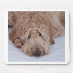 GoldenDoodle犬のギフトのマウスパッド/マウスマット マウスパッド