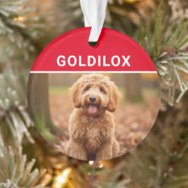 Goldendoodle犬の名前と写真クリスマス オーナメント