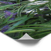 Goldendoodle犬ポスター ポスター (角)