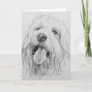 Goldendoodle カード