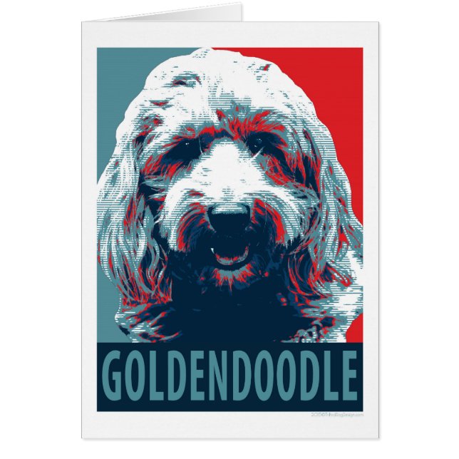 GOLDENDOODLE by Hope Dogs (正面)