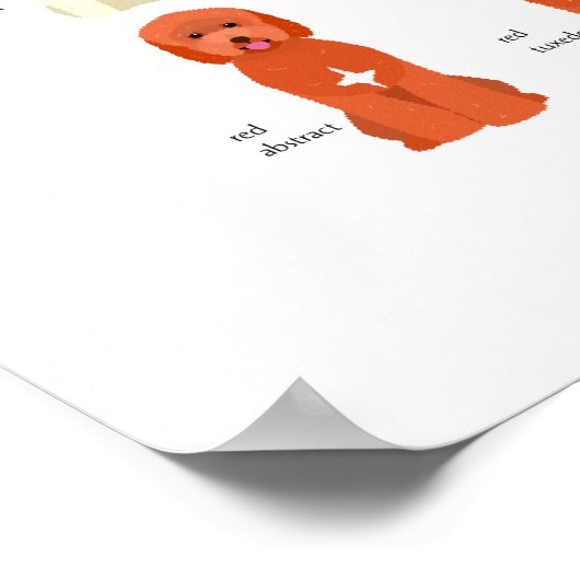 Goldendoodle colors poster ポスター (角)