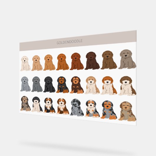 Goldendoodle dog mix アクリルサイン (傾斜)