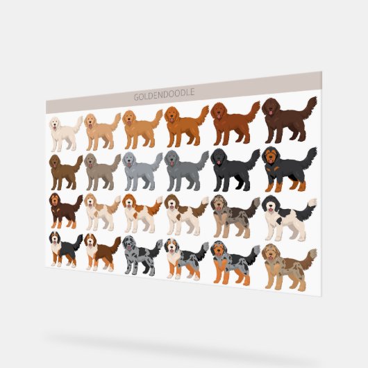 Goldendoodle dog mix アクリルサイン (傾斜)