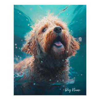 Goldendoodle dog swimming in water 008 ポスター