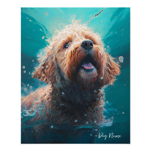 Goldendoodle dog swimming in water 008 ポスター (正面)