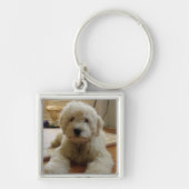 Goldendoodle Keychain キーホルダー (正面)