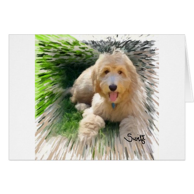 Goldendoodle Labradoodle (正面横)