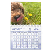 Goldendoodle Puppy 2024カレンダー カレンダー (1月 2027)