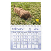 Goldendoodle Puppy 2024カレンダー カレンダー (2月 2027)