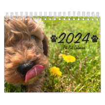 Goldendoodle Puppy 2024カレンダー