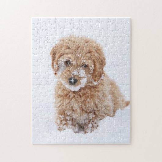Goldendoodle Puppy With Snow On Face ジグソーパズル (縦)