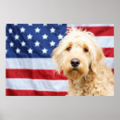 Goldendoodle With American Flag ポスター (正面)