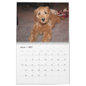 Goldendoodles カレンダー (3月 2027)