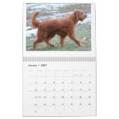 Goldendoodles カレンダー (1月 2027)