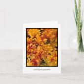 Goldenrod Close up with hint of Red Companity Card カード (正面)