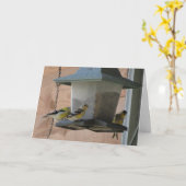 Goldfinchか応援 カード (黄色い花)