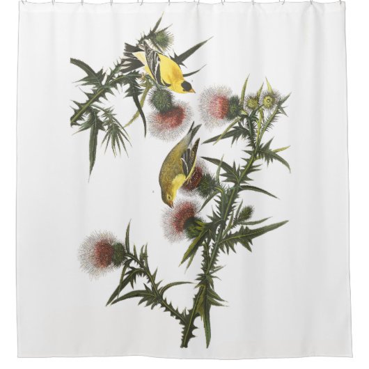 Goldfinchの鳥の野性生物のAudubonのシャワー・カーテン シャワーカーテン (正面)
