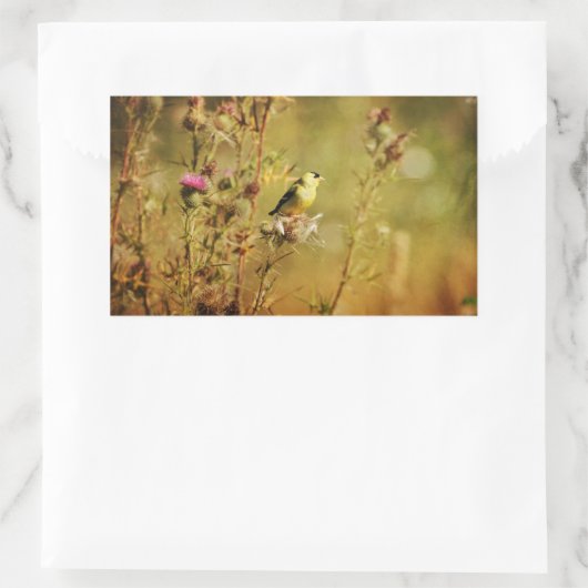 Goldfinch写真 長方形シール (バッグ)