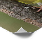 Goldfinch ポスター (角)