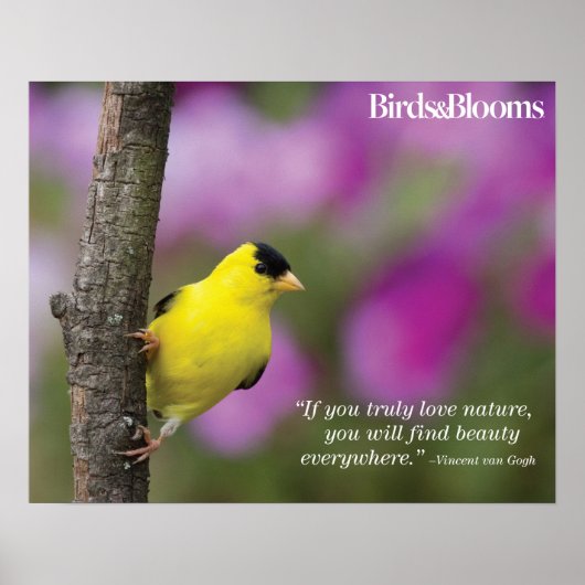 Goldfinch ポスター (正面)