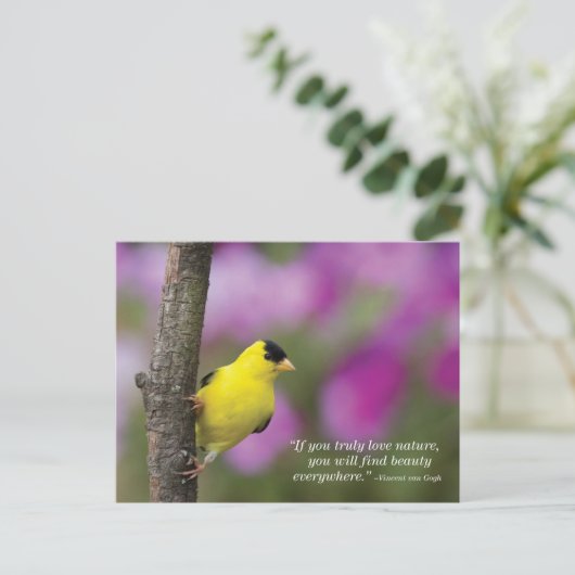 Goldfinch ポストカード (スタンド正面)