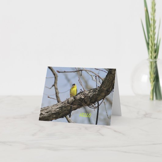 Goldfinch、明るくおよび嬉しいです カード (正面)